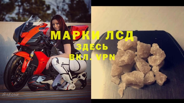 прущие грибы Абинск