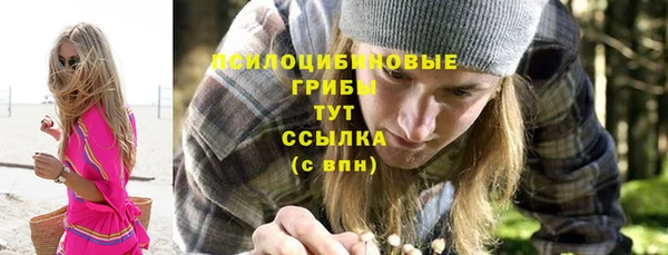 героин Алексин
