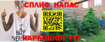 крисы Кинель