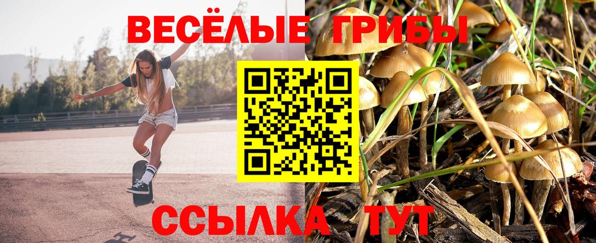Псилоцибиновые грибы GOLDEN TEACHER Лабинск