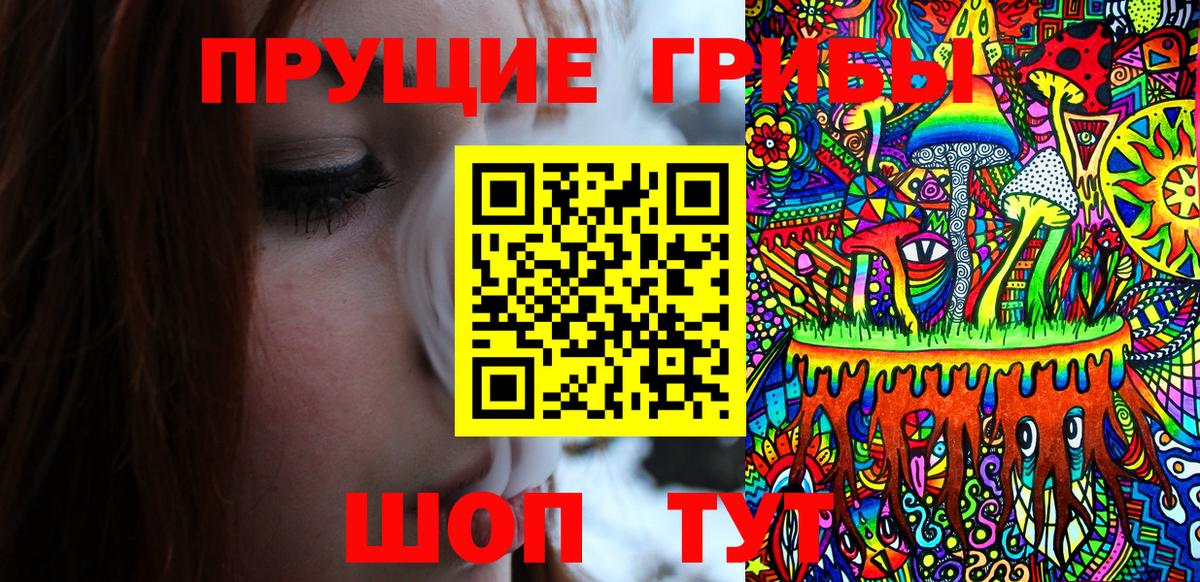 Галлюциногенные грибы Psilocybine cubensis  Псилоцибиновые грибы MAGIC MUSHROOMS  Вход с VPN  Лабинск 